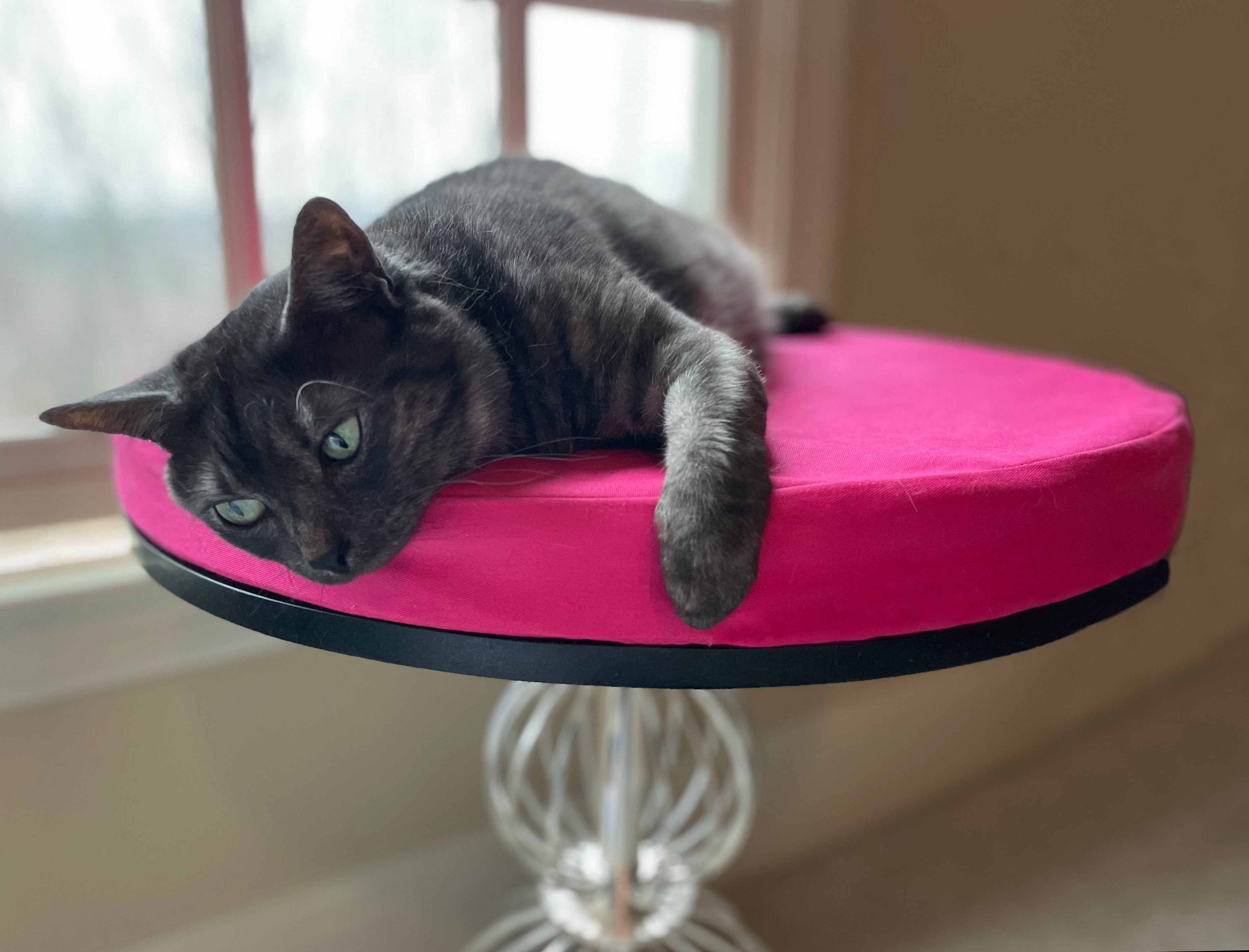 Orthopedic Cat Beds