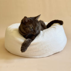 Donut Cat Bed