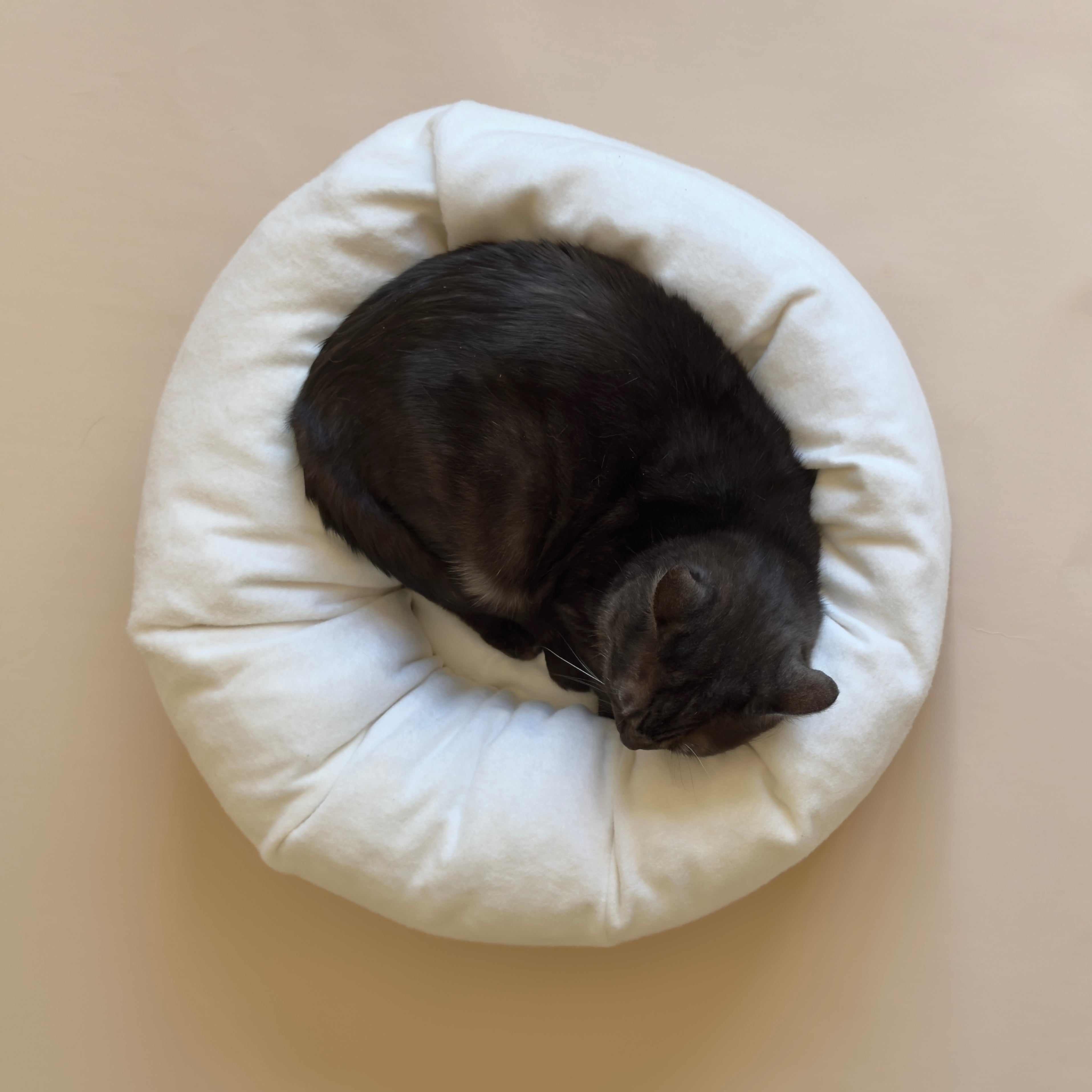 Organic Cat Bed