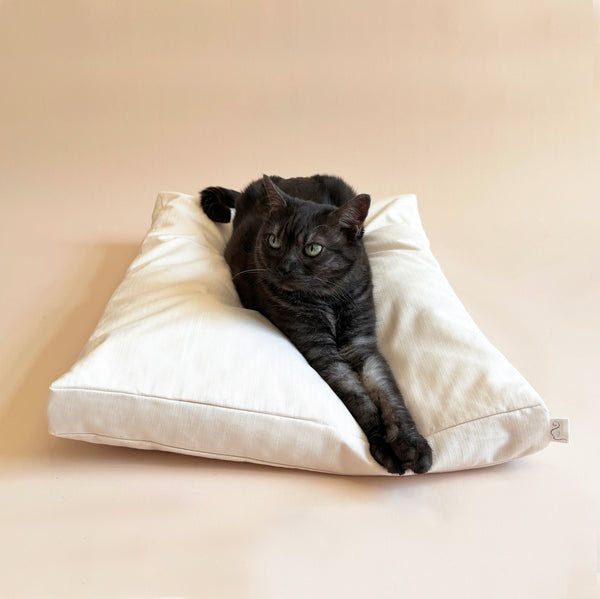 Cat pillow best sale