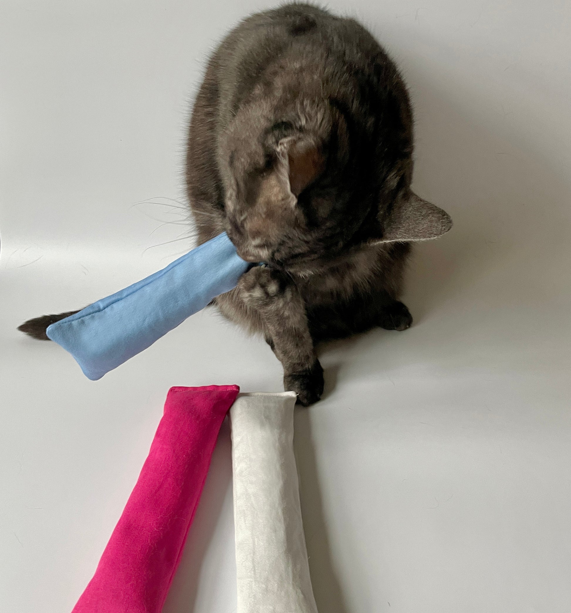 Organic Cat Kicker Toy Set  CatsEssentials – CatsEssentials